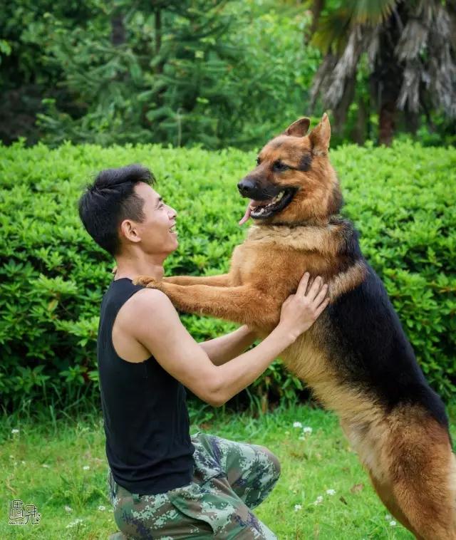 走进公司犬防训练基地 目睹警犬风采