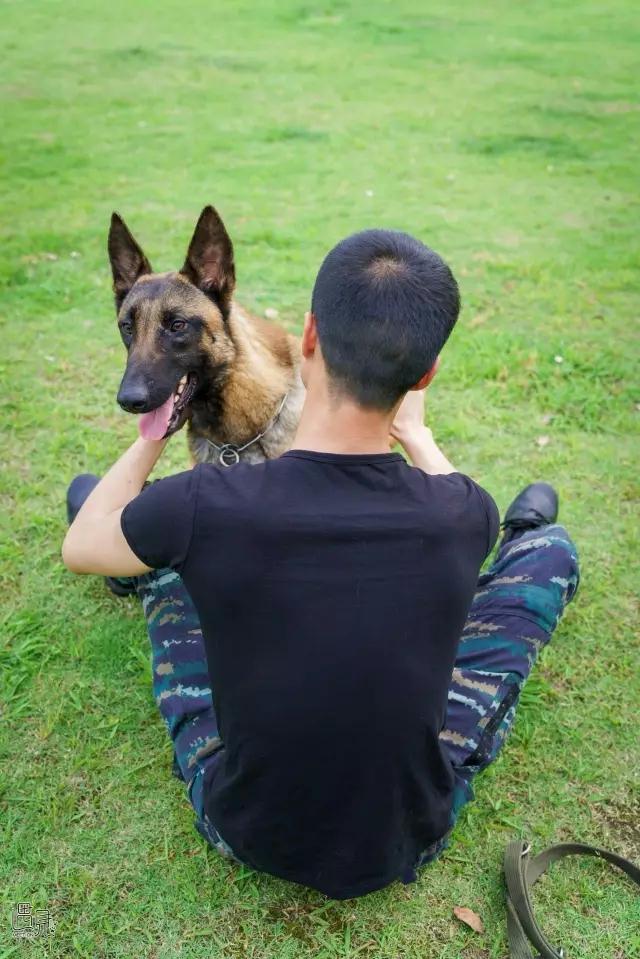 走进公司犬防训练基地 目睹警犬风采