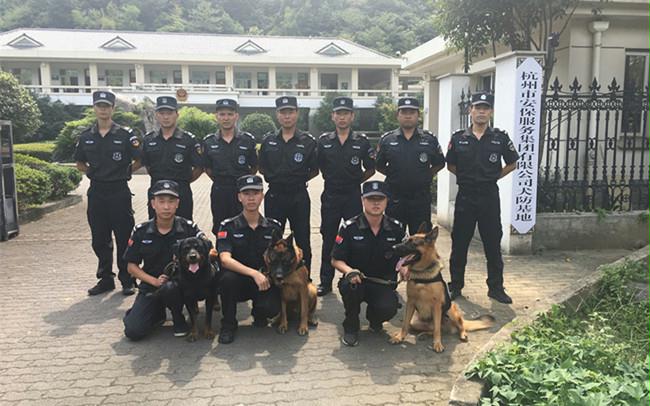 走进公司犬防训练基地目睹警犬风采