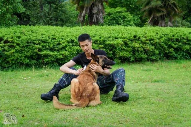 走进公司犬防训练基地 目睹警犬风采